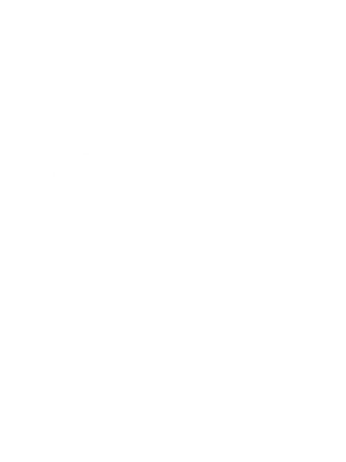 Camisa Maestra (2025/2026) - Edición Fan