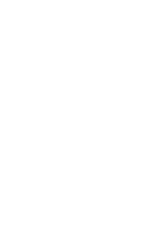 Camisa Maestra (2025/2026) - Edición Retro